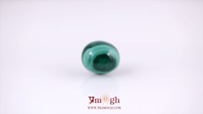 Malachite(Kidney Stone) - 11.34 Carat