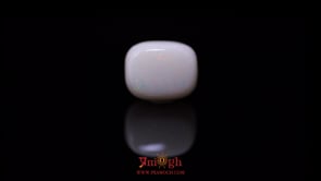 Opal - 19.64 Carat