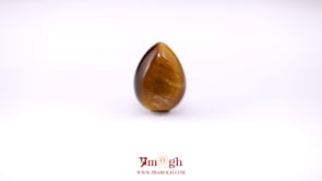 Tiger Eye - 8.89 Carat