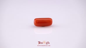 Red Coral - 4.9 Carat