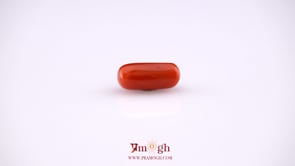 Red Coral - 4.9 Carat