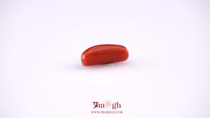 Red Coral - 5.15 Carat