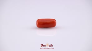 Red Coral - 5.2 Carat
