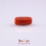 Red Coral - 5.2 Carat