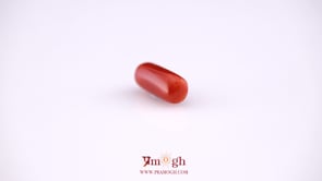 Red Coral - 4.8 Carat