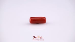 Red Coral - 4.95 Carat