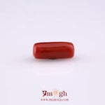 Red Coral - 4.95 Carat