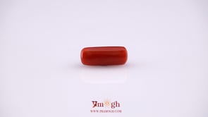 Red Coral - 4.8 Carat