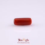 Red Coral - 4.8 Carat