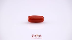 Red Coral - 4.9 Carat