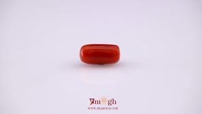 Red Coral - 4.8 Carat