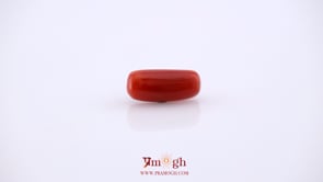 Red Coral - 4.95 Carat