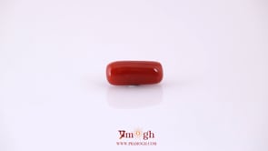 Red Coral - 4.95 Carat