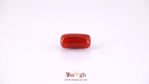 Red Coral - 4.95 Carat