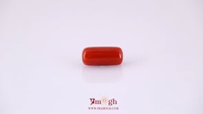 Red Coral - 4.75 Carat