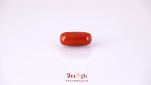 Red Coral - 4.9 Carat