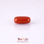 Red Coral - 4.9 Carat