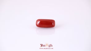 Red Coral - 5.2 Carat
