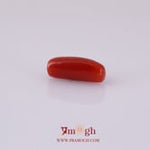 Red Coral - 4.9 Carat