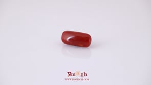 Red Coral - 4.95 Carat