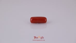 Red Coral - 4.9 Carat