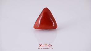 Red Coral - 13.85 Carat