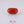 Load and play video in Gallery viewer, Red Coral - 11.43 Carat
