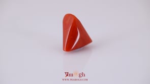 Red Coral - 14 Carat