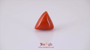 Red Coral - 12.1 Carat