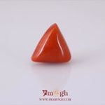 Red Coral - 12.1 Carat