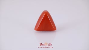 Red Coral - 15 Carat