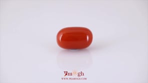 Red Coral - 12.9 Carat