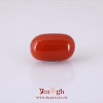 Red Coral - 12.9 Carat