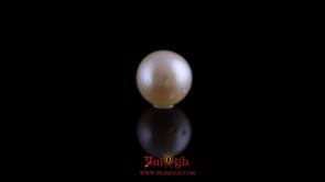 Pearl - 10.1 Carat