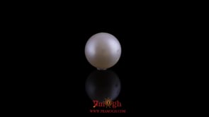 Pearl - 10.6 Carat