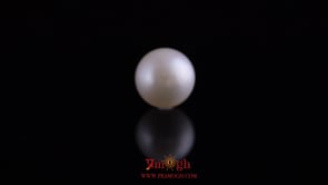Pearl - 11.1 Carat