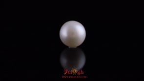 Pearl - 10.9 Carat