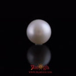 Pearl - 10.9 Carat