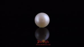 Pearl - 10.95 Carat