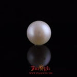 Pearl - 10.95 Carat