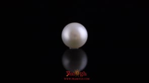 Pearl - 10.25 Carat