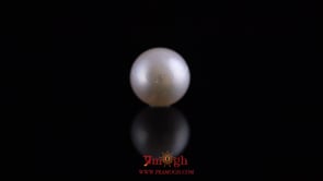 Pearl - 11.35 Carat