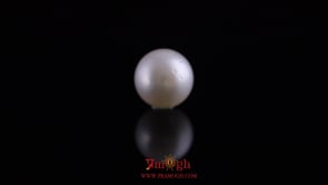 Pearl - 11.1 Carat