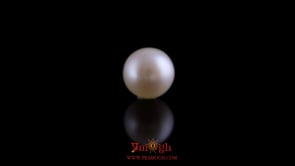 Pearl - 10.15 Carat