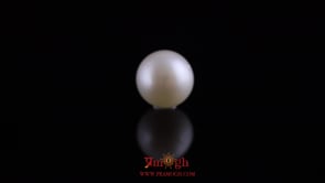 Pearl - 10.35 Carat