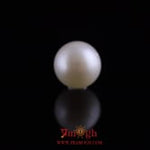 Pearl - 10.35 Carat