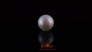 Pearl - 10.2 Carat