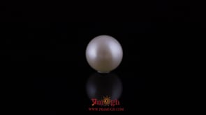 Pearl - 10.65 Carat
