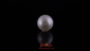 Pearl - 10.85 Carat