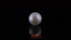 Pearl - 10.55 Carat